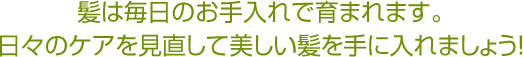 髪は毎日のお手入れで育まれます。日々のケアを見直して美しい髪を手に入れましょう！