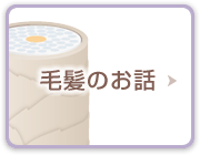 毛髪のお話