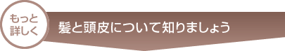 もっと詳しく髪と頭皮について知りましょう